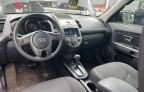 2010 KIA SOUL +   à vendre chez Copart FL - ORLANDO SOUTH