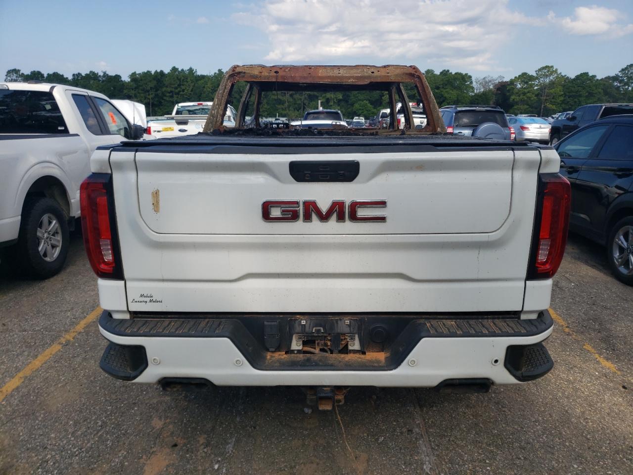 2020 GMC Sierra K1500 At4 VIN: 1GTP9EEL9LZ172063 Lot: 65710255