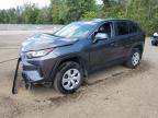 2024 TOYOTA RAV4 LE   for sale at Copart ON - COOKSTOWN