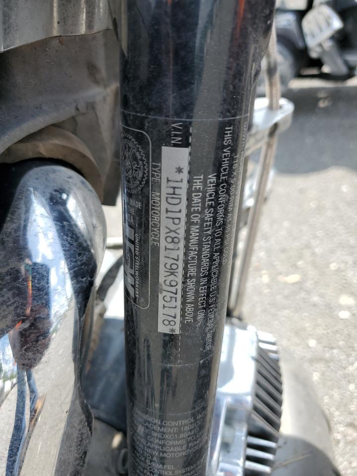 2009 Harley-Davidson Fxdfse VIN: 1HD1PX8179K975178 Lot: 64576935