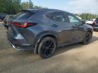 2024 LEXUS NX 350 LUXURY   for sale at Copart ON - COOKSTOWN