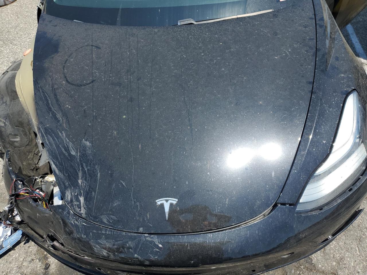 2019 Tesla Model 3 VIN: 5YJ3E1EA1KF302293 Lot: 65014765
