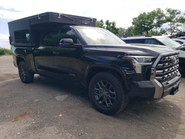  TOYOTA TUNDRA 2023 Black