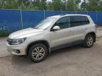 2014 VOLKSWAGEN TIGUAN S   à vendre chez Copart NB - MONCTON