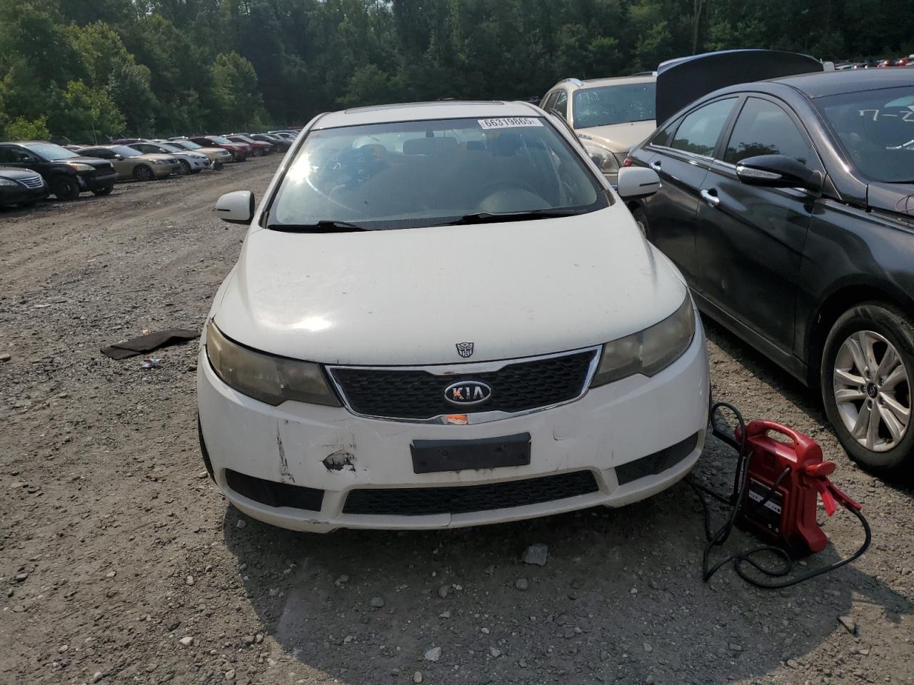 2011 Kia Forte Ex VIN: KNAFU5A29B5348135 Lot: 66319865