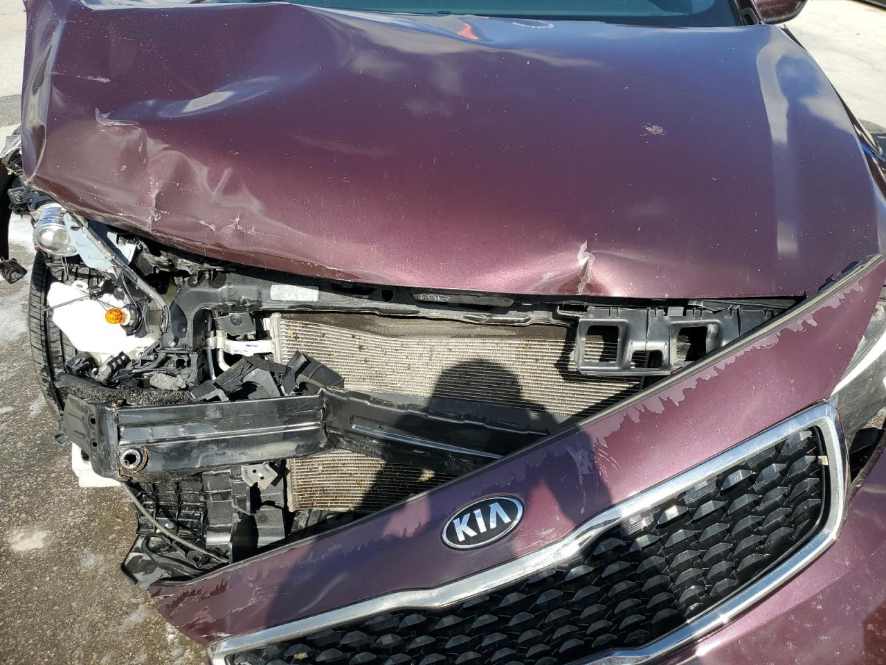 2017 Kia Forte Lx VIN: 3KPFK4A78HE095918 Lot: 67092775