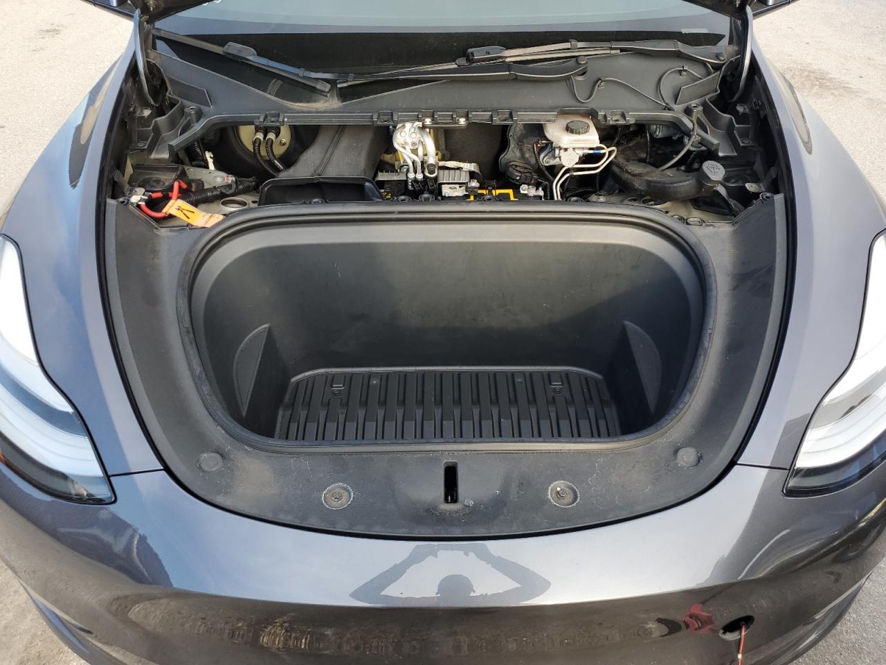 2022 Tesla Model Y VIN: 7SAYGDEE4NF307001 Lot: 63185465