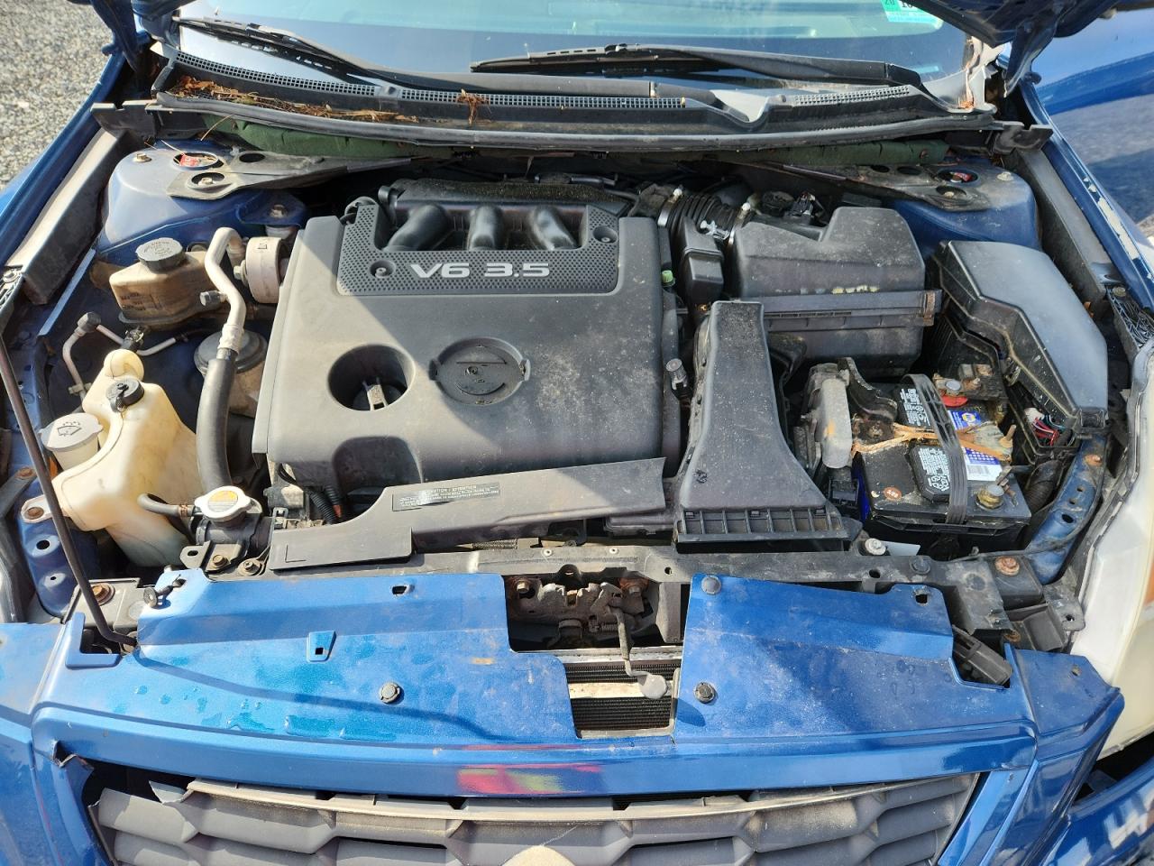 2008 Nissan Altima 3.5Se VIN: 1N4BL24E88C119884 Lot: 62570545