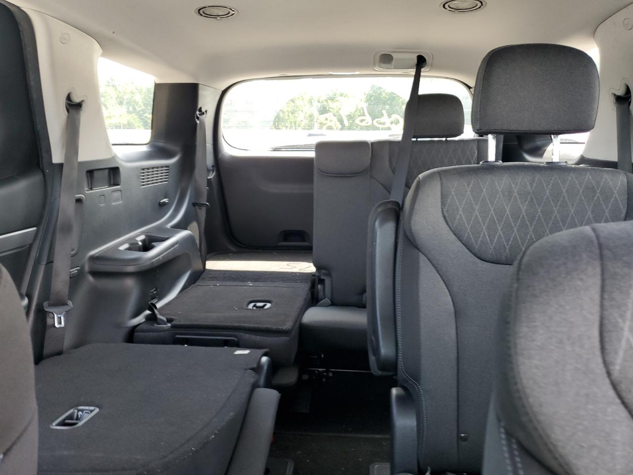 2020 Hyundai Palisade Sel VIN: KM8R24HE6LU160806 Lot: 64906695