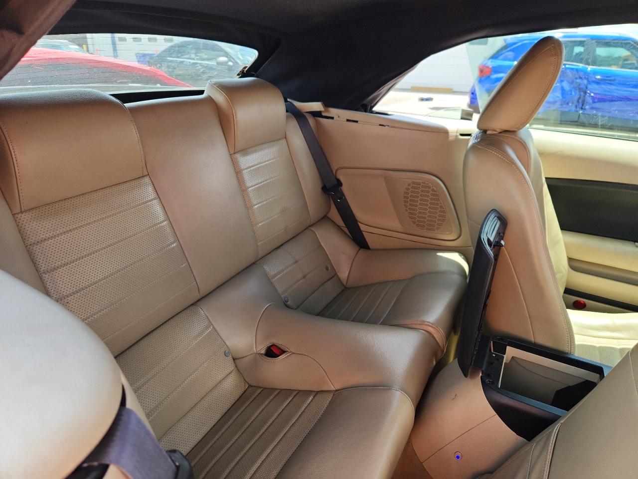 2009 Ford Mustang Gt VIN: 1ZVHT85H795109897 Lot: 64813875