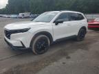 2025 HONDA CR-V SPORT   à vendre chez Copart NJ - GLASSBORO EAST
