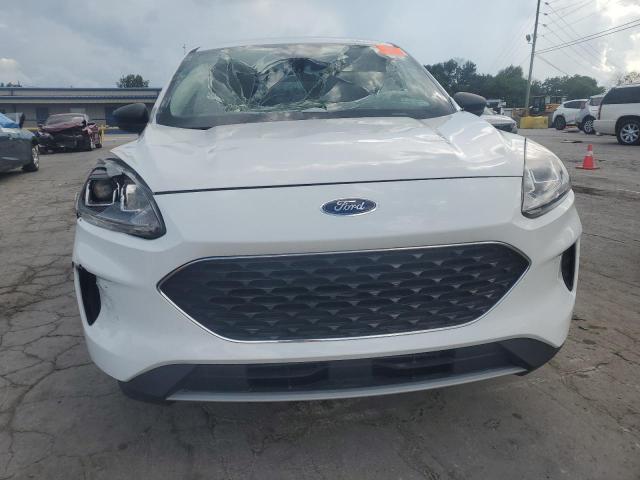  FORD ESCAPE 2022 Белы