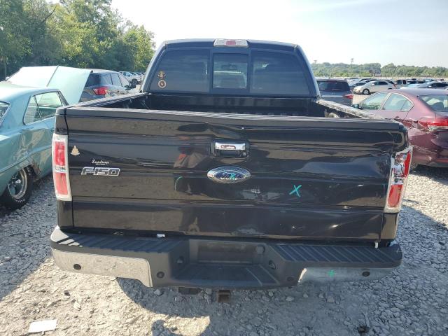  FORD F-150 2013 Brązowy