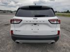 2022 FORD ESCAPE S   à vendre chez Copart ON - OTTAWA