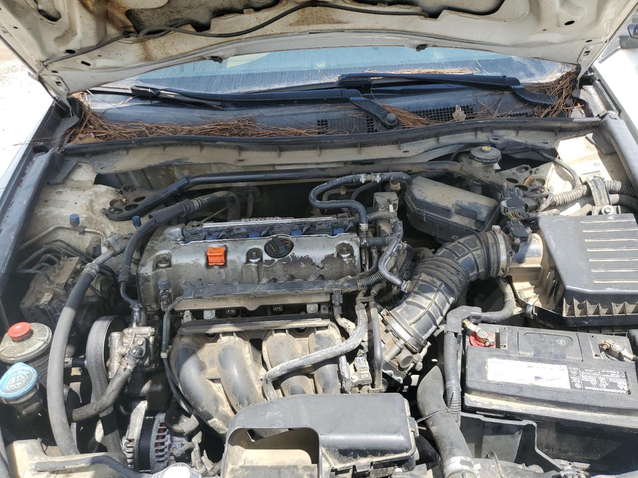 2011 Honda Accord Exl VIN: 1HGCP2F81BA036621 Lot: 64525975