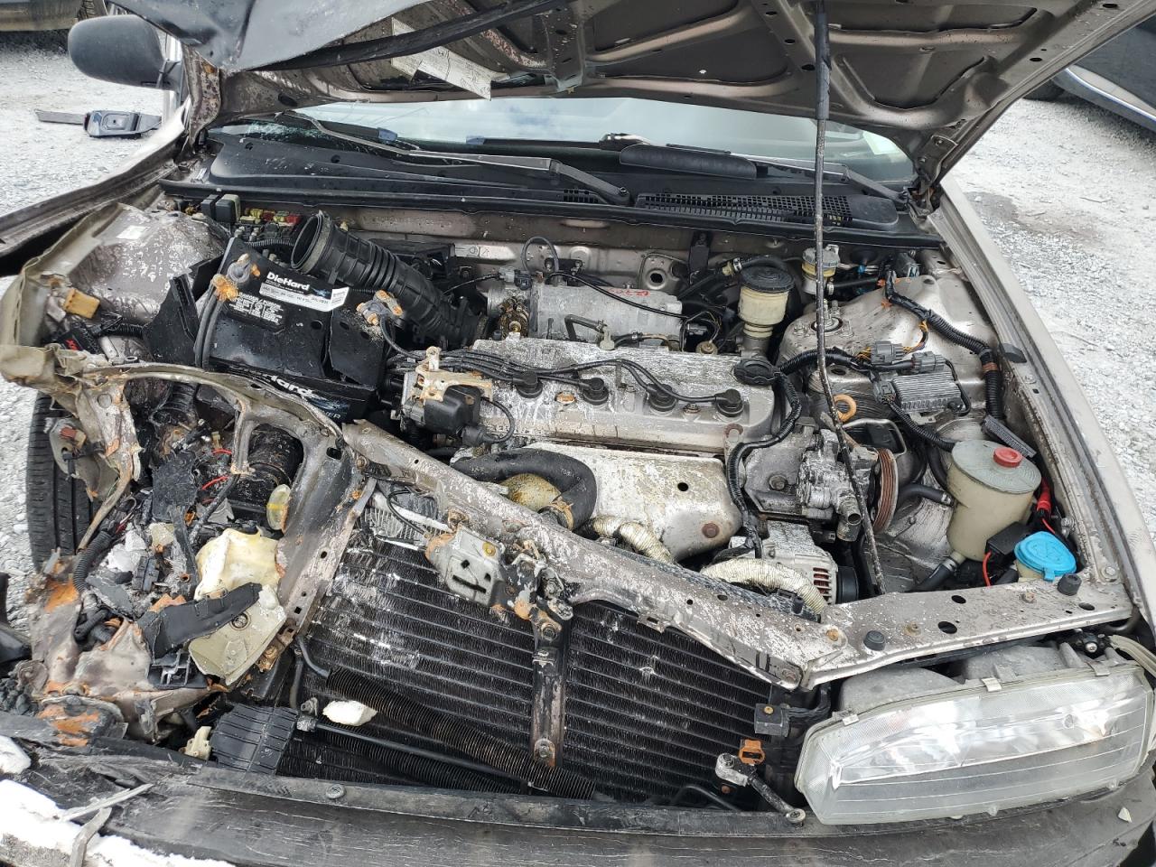 1993 Honda Accord Lx VIN: 1HGCB7654PA037013 Lot: 65439485