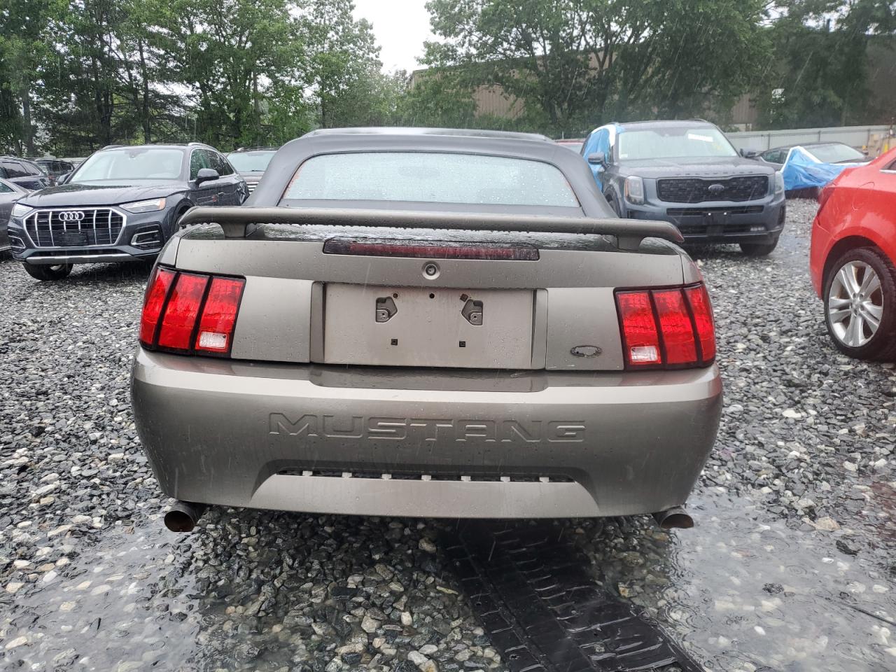 2002 Ford Mustang VIN: 1FAFP44452F163193 Lot: 62985445