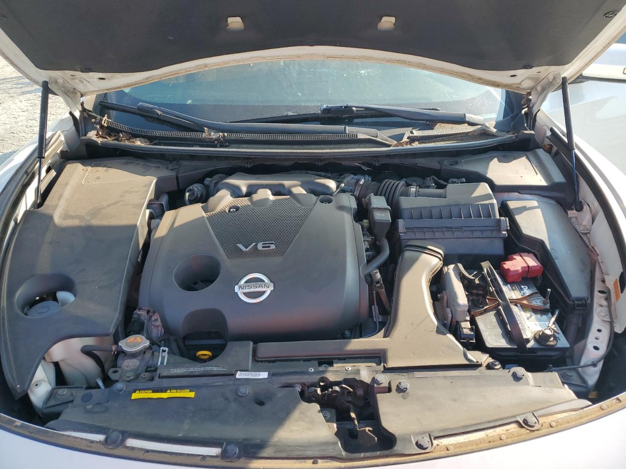 2010 Nissan Maxima S VIN: 1N4AA5AP8AC848286 Lot: 63206725