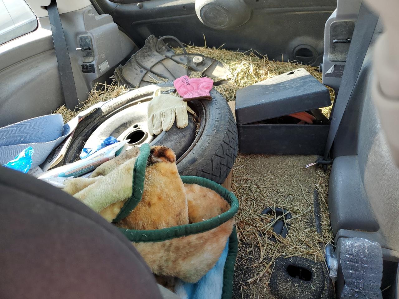 2002 Mini Cooper VIN: WMWRC33462TE13198 Lot: 65270575