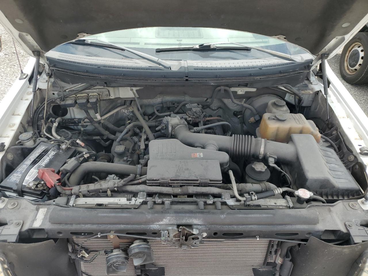 2010 Ford F150 VIN: 1FTMF1CW7AKA46470 Lot: 43169255