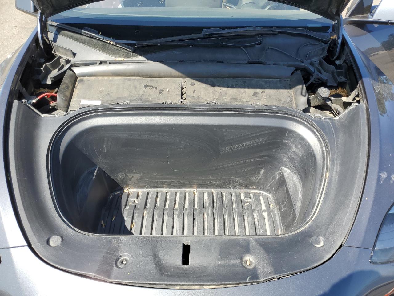 2023 Tesla Model Y VIN: 7SAYGDEE4PF856703 Lot: 66704565