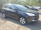 2013 FORD ESCAPE SE   à vendre chez Copart ON - COOKSTOWN
