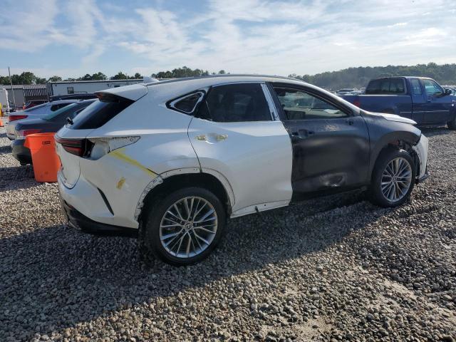  LEXUS NX 350 2022 Biały