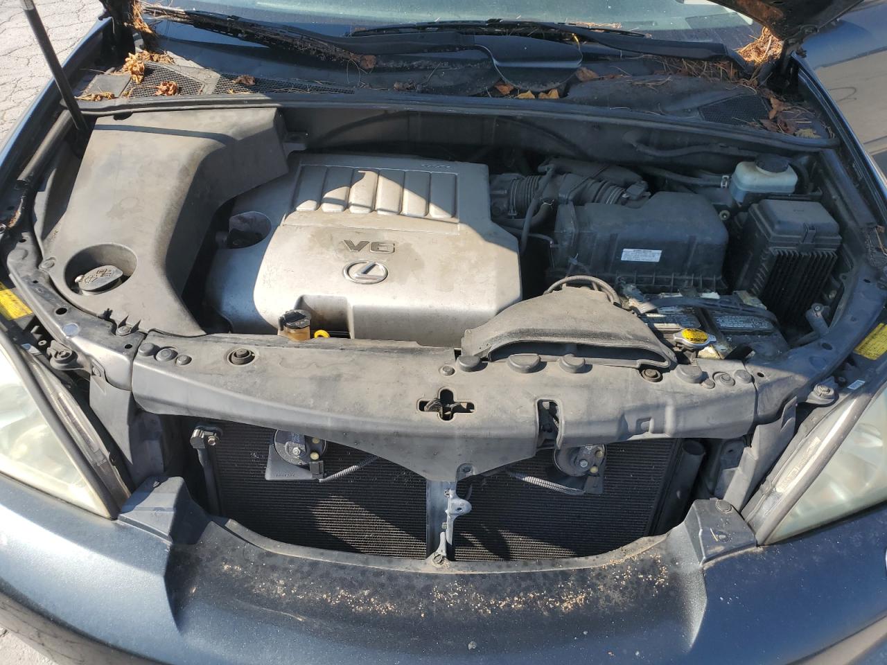 2007 Lexus Rx 350 VIN: JTJGK31U070002169 Lot: 60279165
