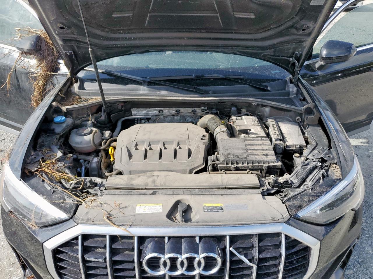 2022 Audi Q3 Premium S Line 45 VIN: WA1DECF34N1119509 Lot: 63446235