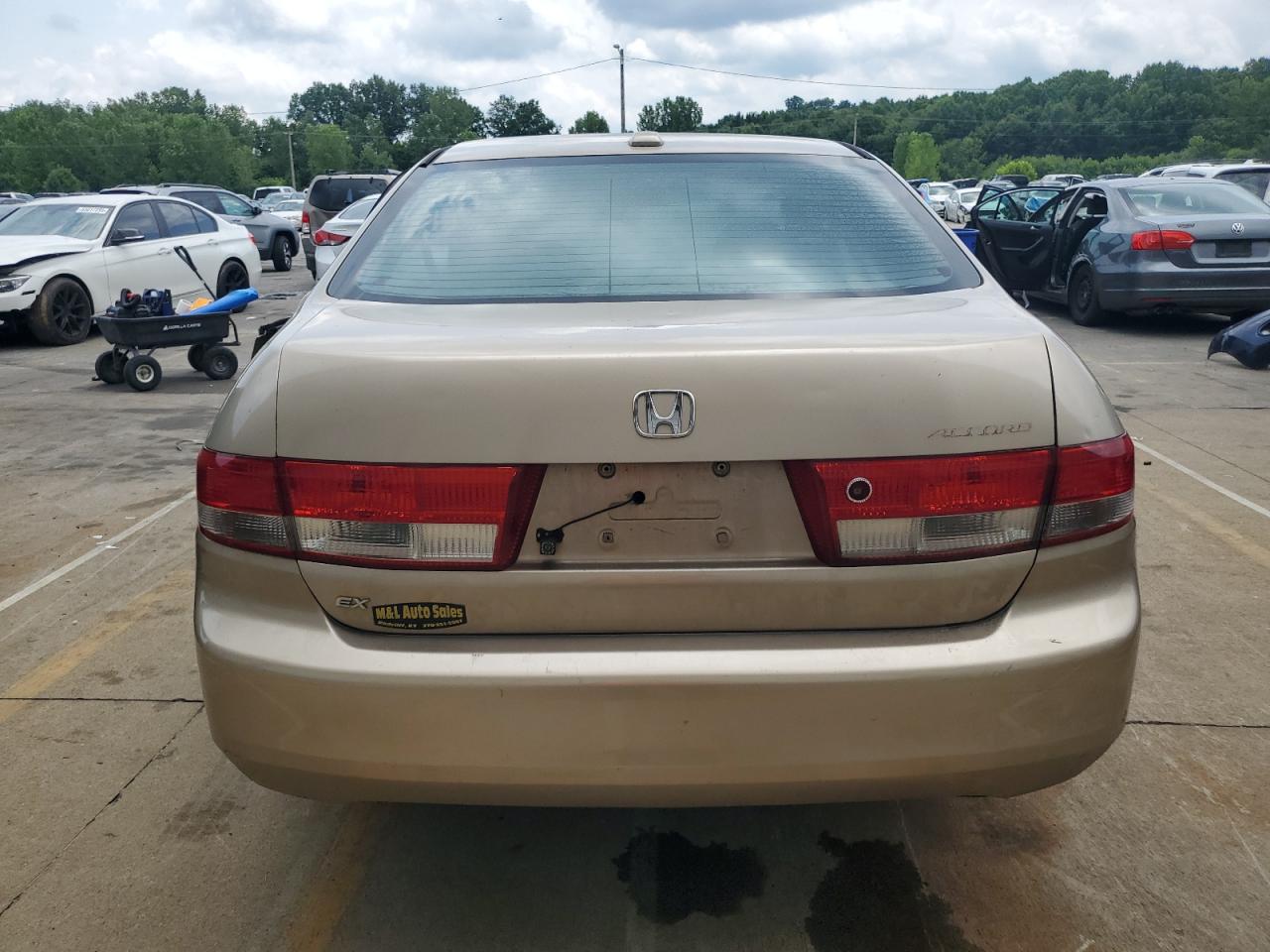 2004 Honda Accord Ex VIN: 1HGCM56844A100390 Lot: 65558185