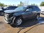 2021 TOYOTA RAV4 LE   à vendre chez Copart ON - TORONTO