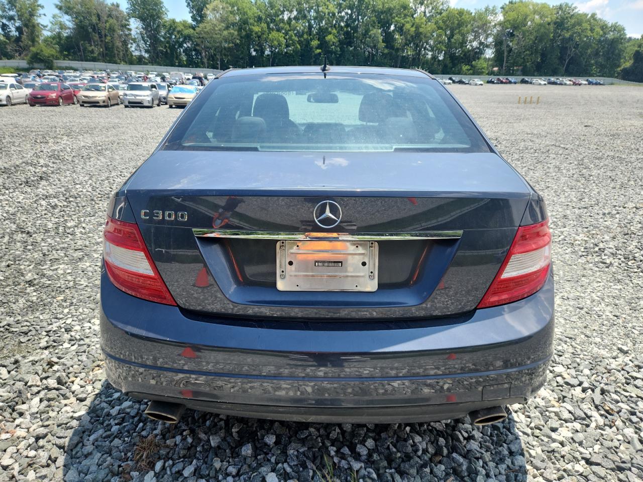 2009 Mercedes-Benz C 300 VIN: WDDGF54X89R053559 Lot: 65682875