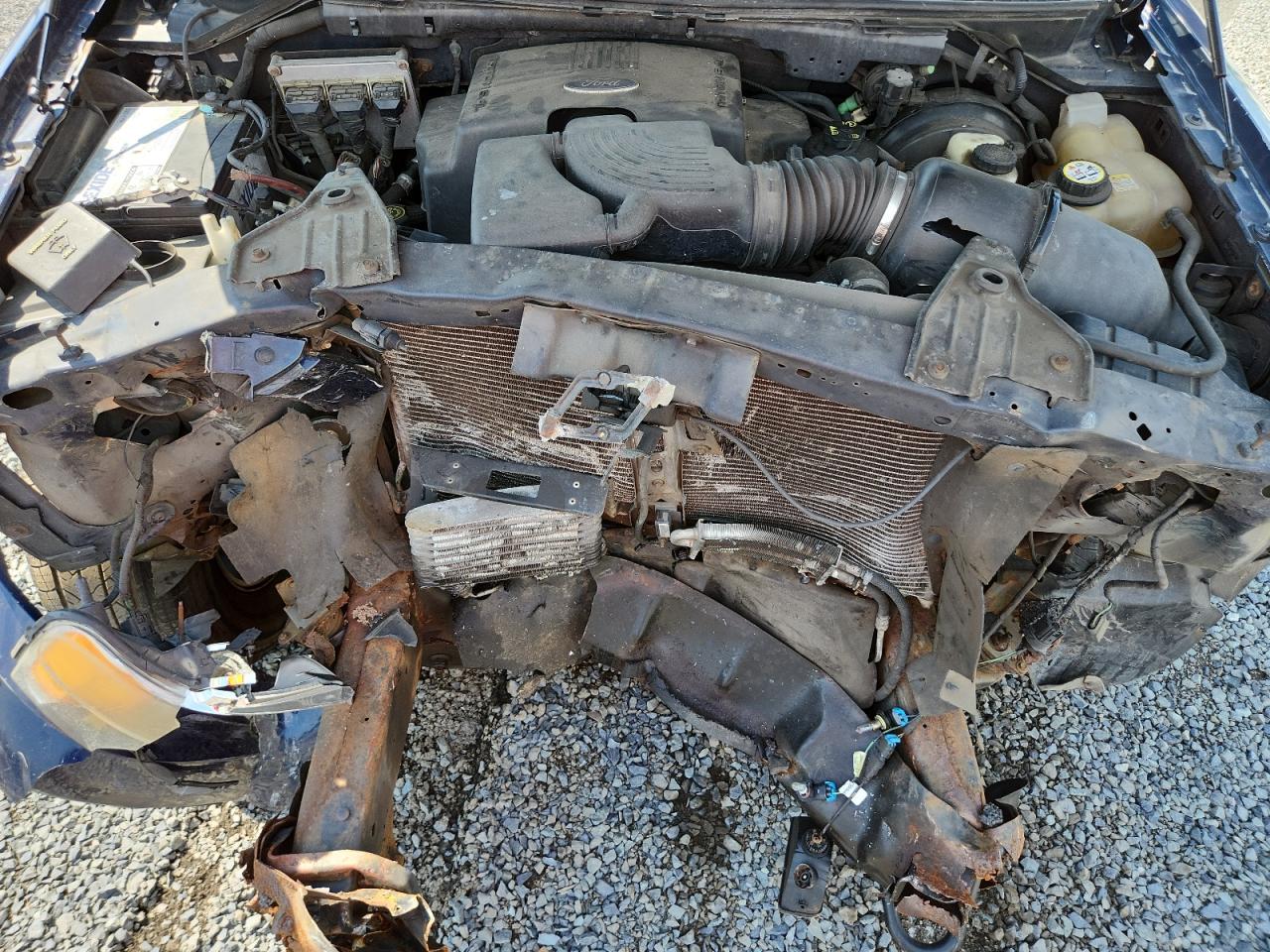 2004 Ford Expedition Xlt VIN: 1FMPU16L54LA48149 Lot: 62563685