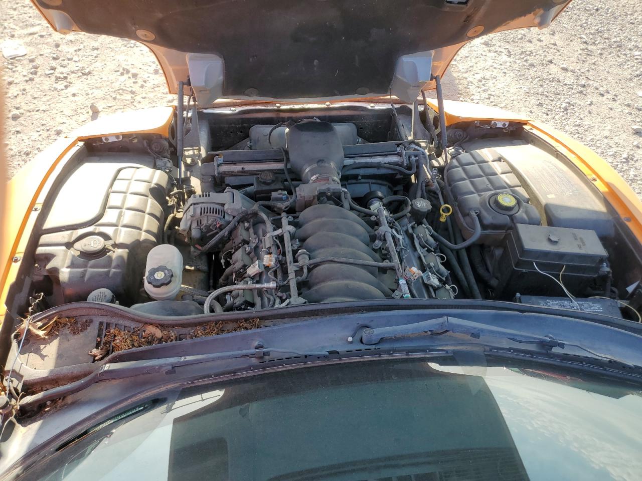 2003 Chevrolet Corvette Z06 VIN: 1G1YY12S435120447 Lot: 66623215
