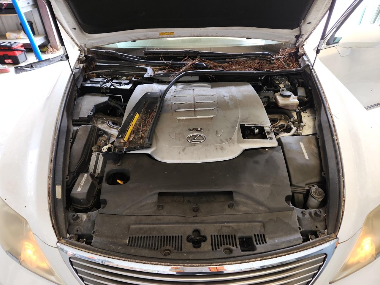 2007 Lexus Ls 460 VIN: JTHBL46F175043096 Lot: 65379955