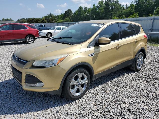  FORD ESCAPE 2014 Золотой