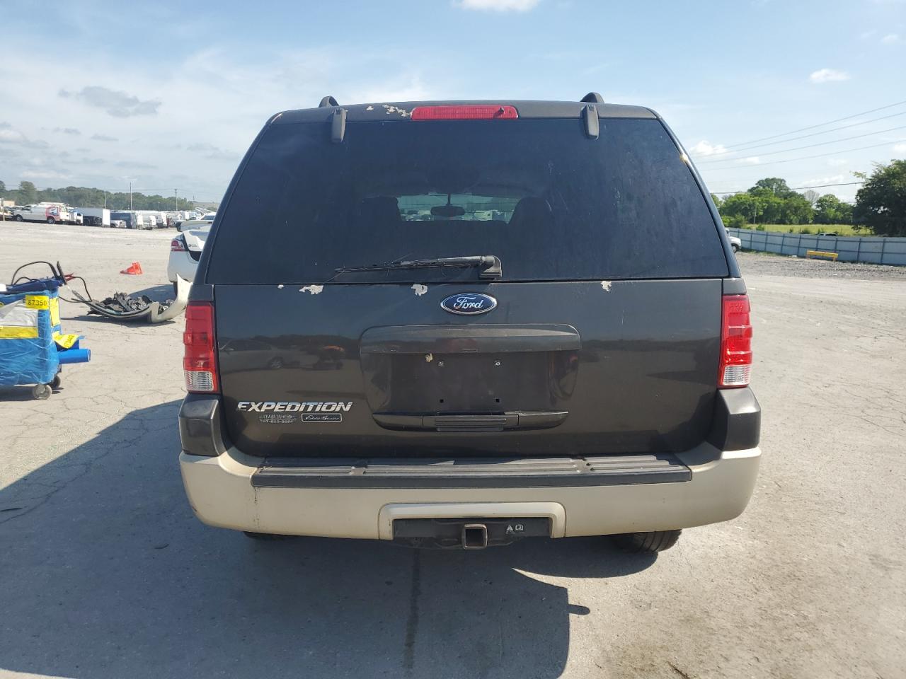 2005 Ford Expedition Eddie Bauer VIN: 1FMPU17515LA47646 Lot: 65383215