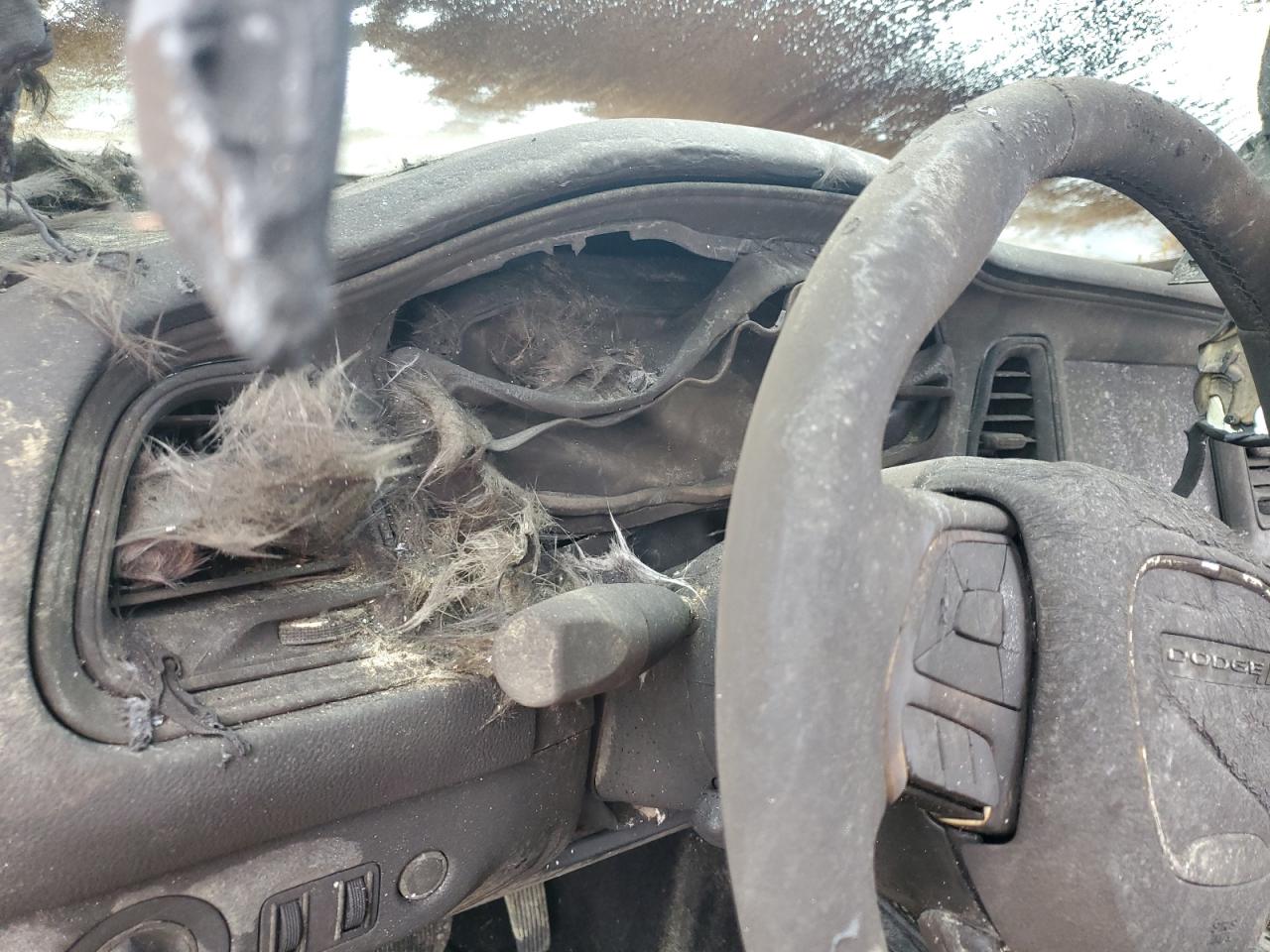 2017 Dodge Challenger Gt VIN: 2C3CDZGG1HH580928 Lot: 66618065