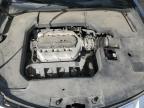 2009 ACURA TL    for sale at Copart AB - EDMONTON