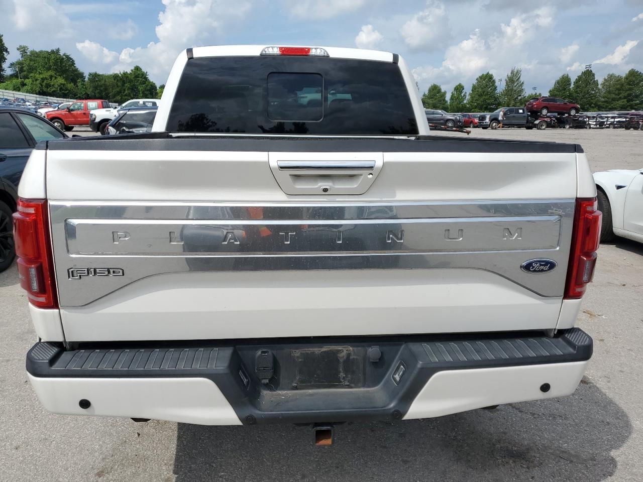 2016 Ford F150 Supercrew VIN: 1FTEW1EG5GFB98775 Lot: 64928585