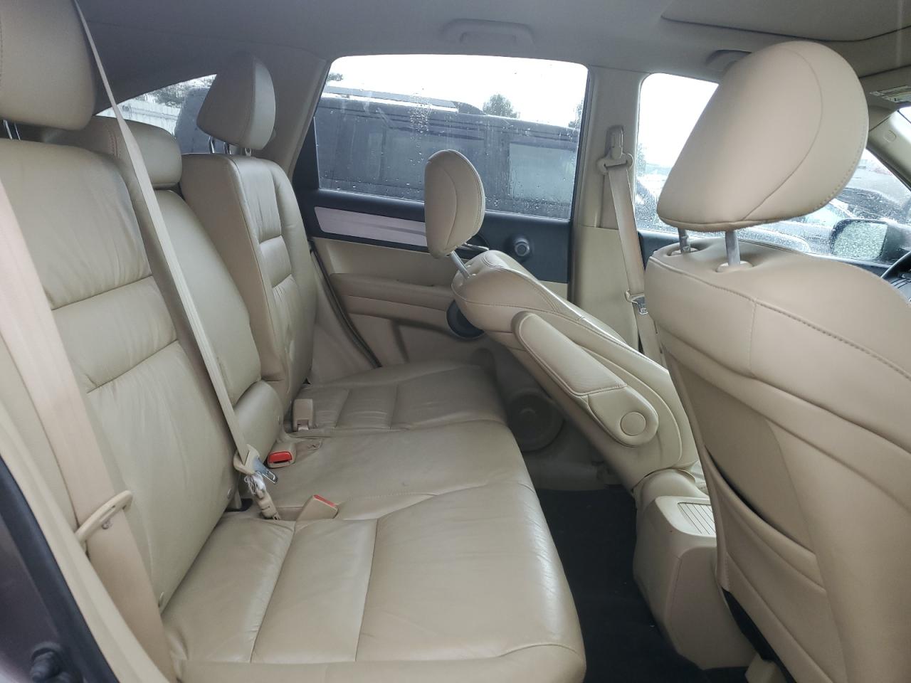 2010 Honda Cr-V Exl VIN: 5J6RE4H78AL099484 Lot: 64885135