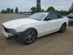 2013 FORD MUSTANG    à vendre chez Copart QC - MONTREAL