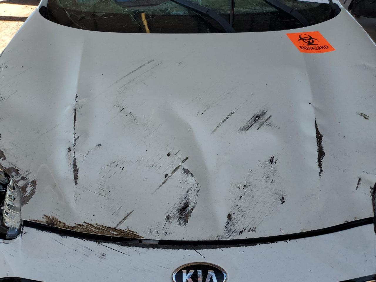 kndpm3ac4l7737078 KNDPM3AC4L7737078 2020 Kia Sportage Lx