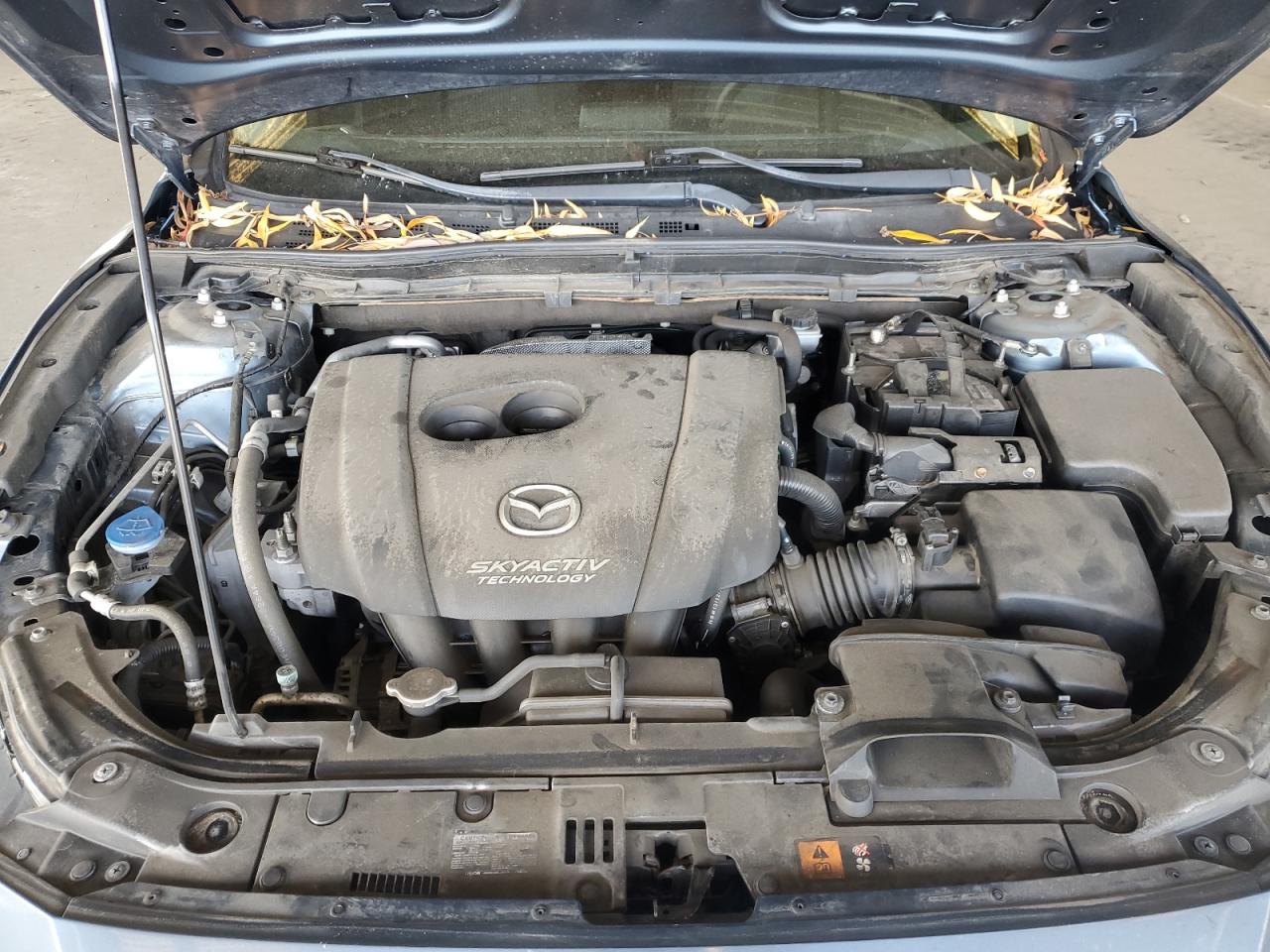 2014 Mazda 3 Touring VIN: JM1BM1L7XE1202535 Lot: 64273235
