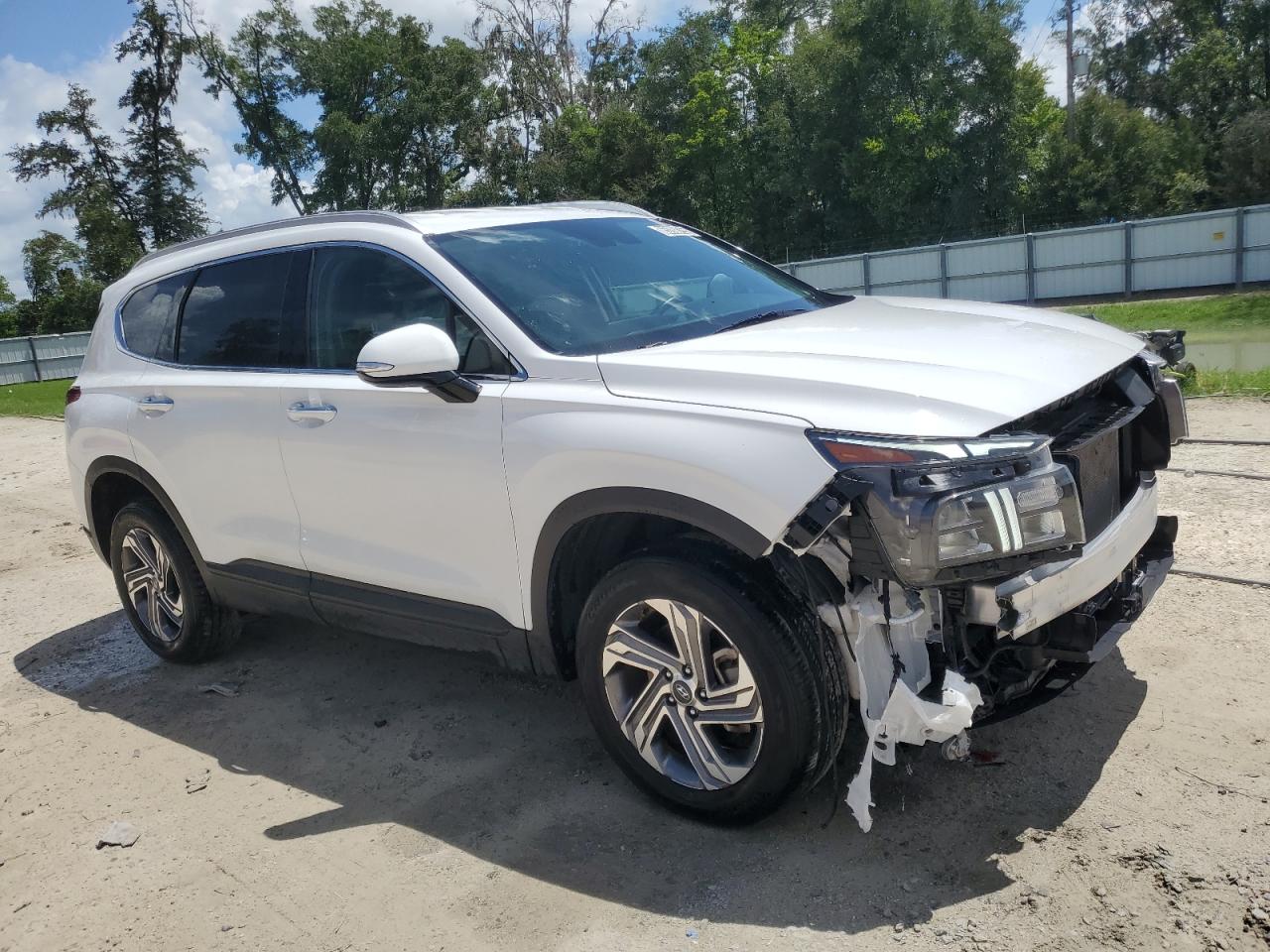 2023 Hyundai Santa Fe Sel VIN: 5NMS2DAJ0PH645243 Lot: 65268155