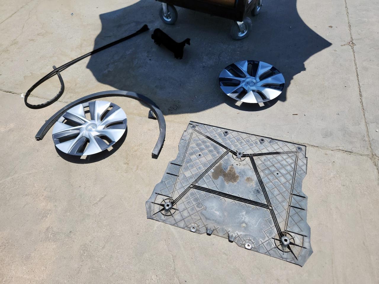 2023 Tesla Model Y VIN: 7SAYGDEE2PA087874 Lot: 66696225