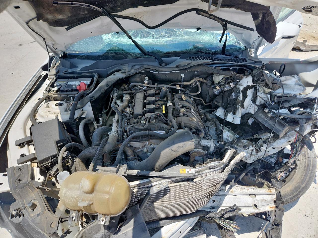 2017 Ford Mustang VIN: 1FATP8UH3H5293453 Lot: 64005695