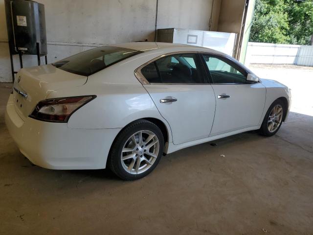  NISSAN MAXIMA 2013 Biały
