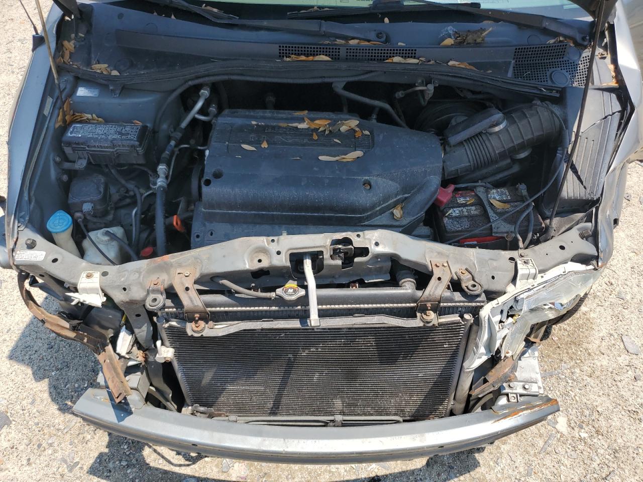 2002 Honda Odyssey Exl VIN: 5FNRL18012B036017 Lot: 63270565