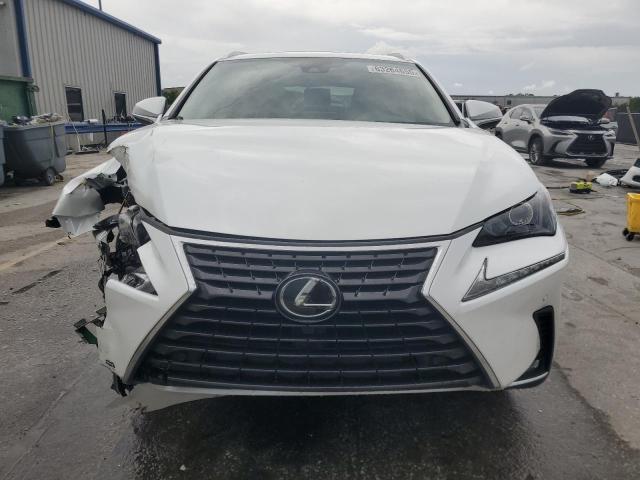  LEXUS NX 2020 Белы
